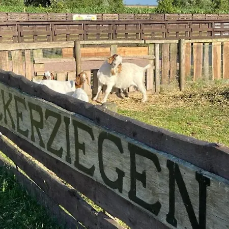 Zum Kleinen Maulwurf *