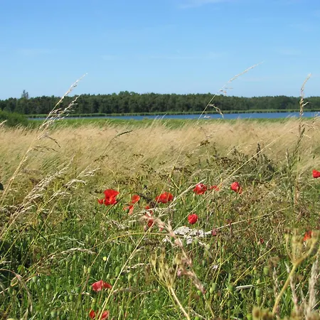 Дом отдыха Zum Kleinen Maulwurf Prohn