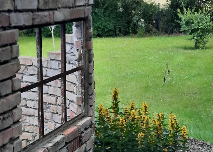 Zum Kleinen Maulwurf Prohn