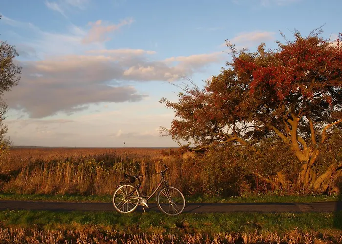 Zum Kleinen Maulwurf