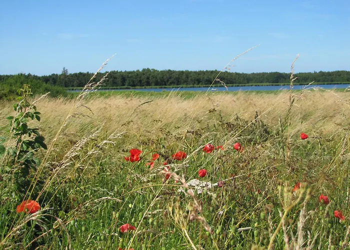 Casa de Férias Zum Kleinen Maulwurf Prohn